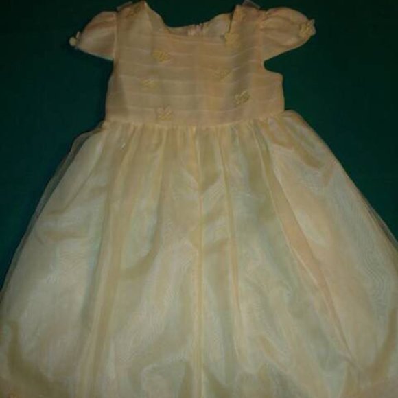 Girl's Fancy Dress - Picture 1 of 3